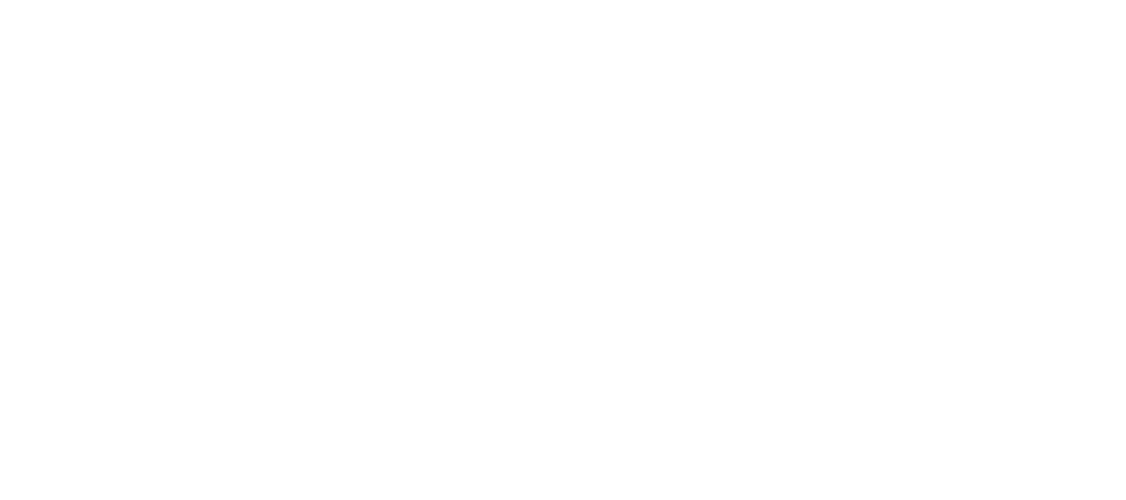 EMA FF_Logoemblema-06